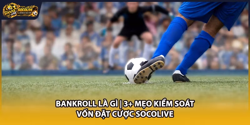 Bankroll Là Gì | 3+ Mẹo Kiểm Soát Vốn Đặt Cược Socolive