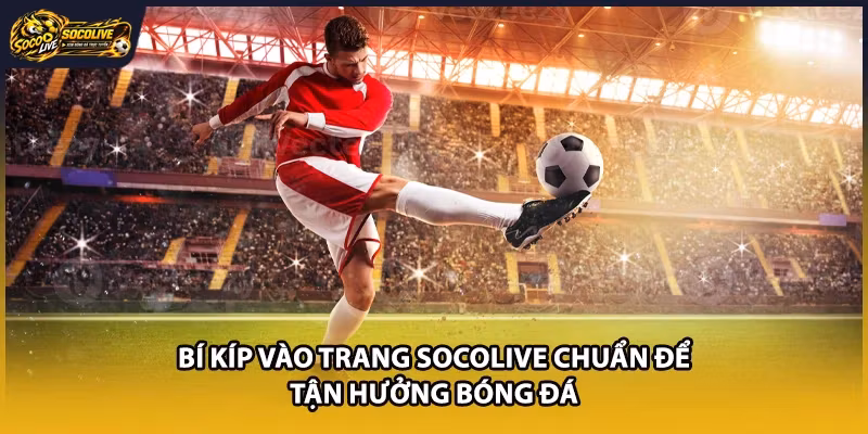 Bí kíp vào trang Socolive chuẩn để tận hưởng bóng đá