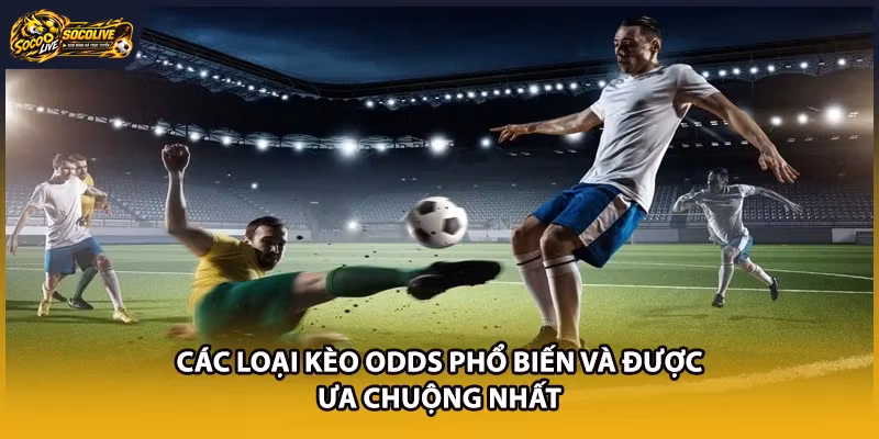 Các loại kèo Odds phổ biến và được ưa chuộng nhất