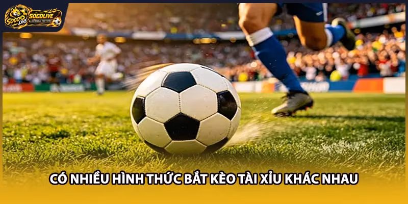 Có nhiều hình thức bắt kèo tài xỉu khác nhau