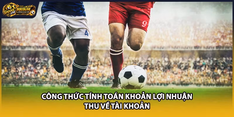 Công thức tính toán khoản lợi nhuận thu về tài khoản