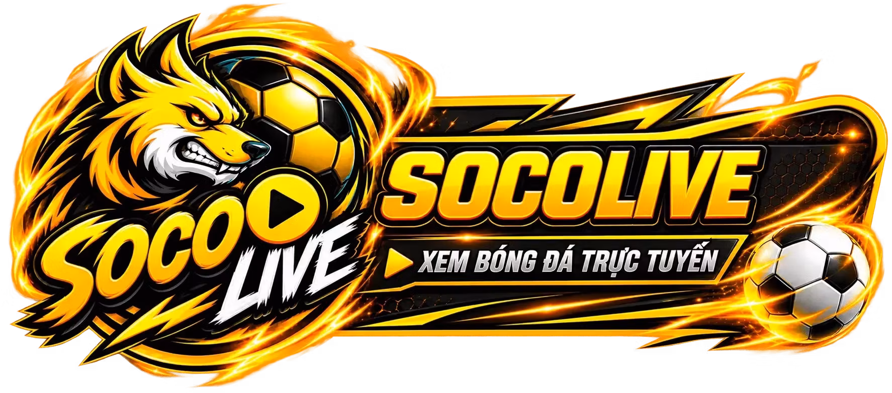 Starter TV logo