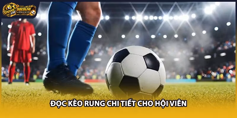 Đọc kèo rung chi tiết cho hội viên