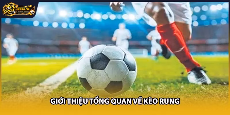 Giới thiệu tổng quan về kèo rung 