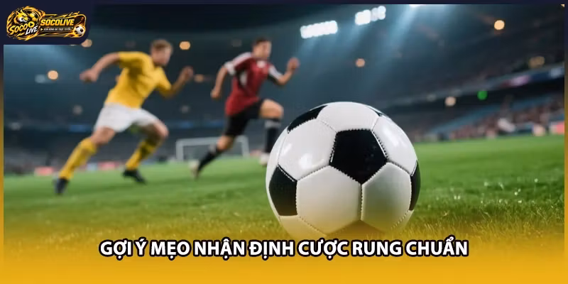 Gợi ý mẹo nhận định cược rung chuẩn