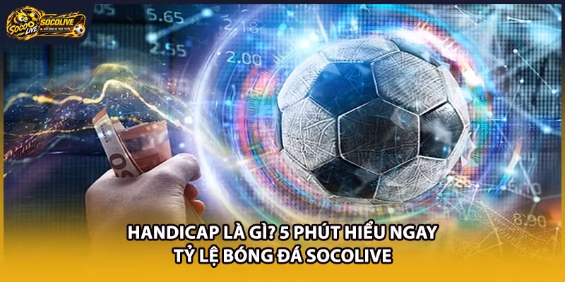 Handicap Là Gì? 5 Phút Hiểu Ngay Tỷ Lệ Bóng Đá Socolive