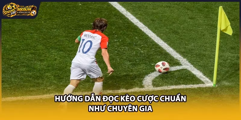 Hướng dẫn đọc kèo cược chuẩn như chuyên gia