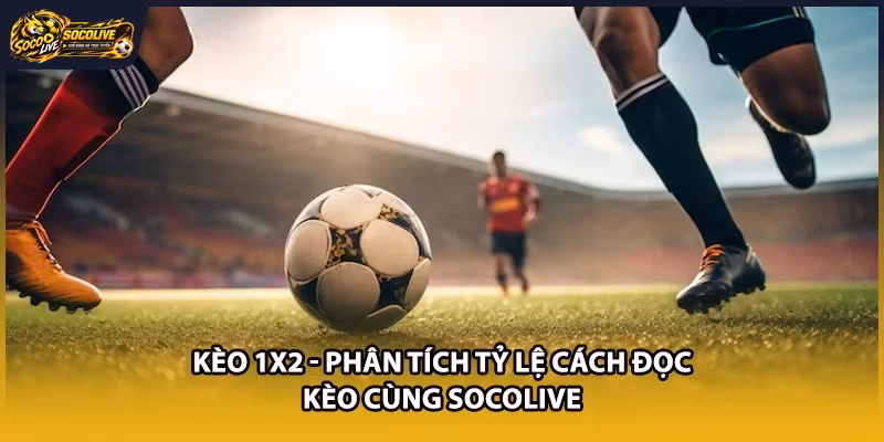 Kèo 1X2 - Phân Tích Tỷ Lệ Cách Đọc Kèo Cùng Socolive