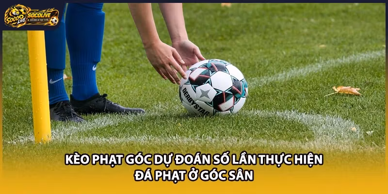 Kèo phạt góc dự đoán số lần thực hiện đá phạt ở góc sân