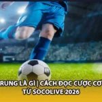 Kèo Rung Là Gì | Cách Đọc Cược Cơ Bản Từ Socolive 2026