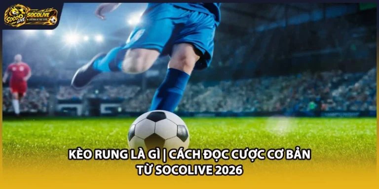 Kèo Rung Là Gì | Cách Đọc Cược Cơ Bản Từ Socolive 2026