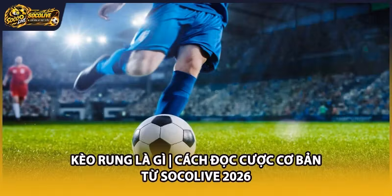 Kèo Rung Là Gì | Cách Đọc Cược Cơ Bản Từ Socolive 2026