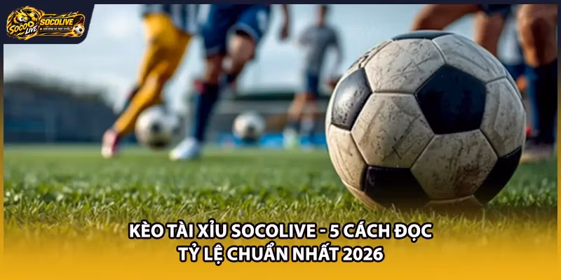 Kèo Tài Xỉu Socolive - 5 Cách Đọc Tỷ Lệ Chuẩn Nhất 2026