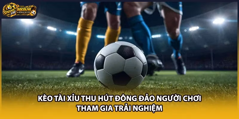 Kèo tài xỉu thu hút đông đảo người chơi tham gia trải nghiệm