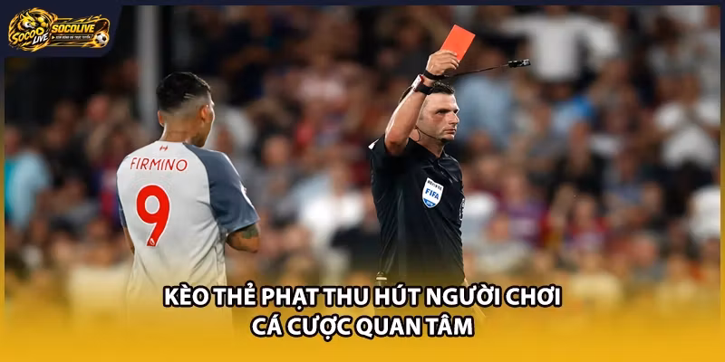 Kèo thẻ phạt thu hút người chơi cá cược quan tâm