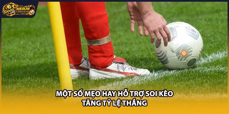 Một số mẹo hay hỗ trợ soi kèo tăng tỷ lệ thắng