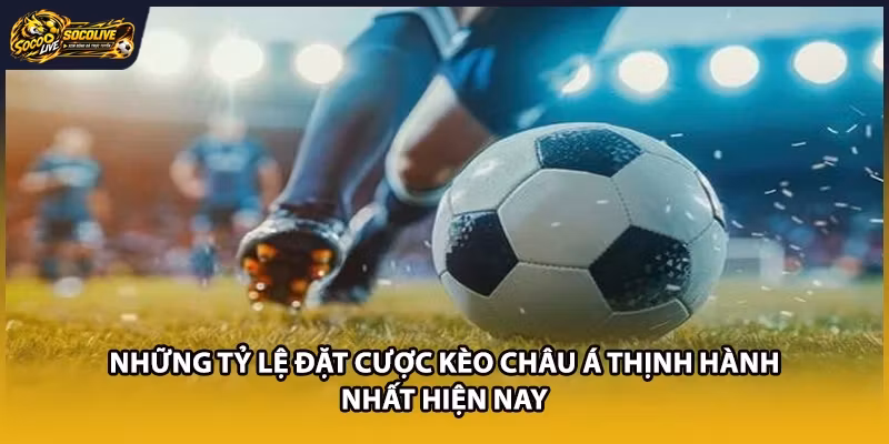 Những tỷ lệ đặt cược kèo châu Á thịnh hành nhất hiện nay 