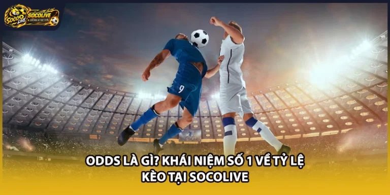 Odds Là Gì? Khái Niệm Số 1 Về Tỷ Lệ Kèo Tại Socolive