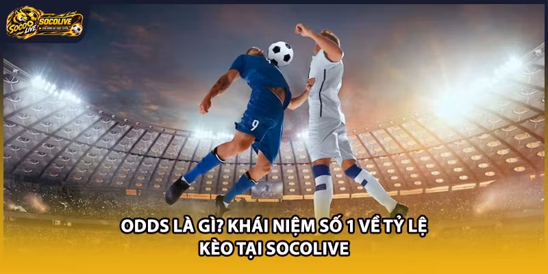 Odds Là Gì? Khái Niệm Số 1 Về Tỷ Lệ Kèo Tại Socolive