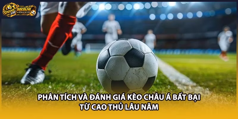 Phân tích và đánh giá kèo châu Á bất bại từ cao thủ lâu năm 