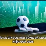Tài Xỉu Là Gì? Đọc Kèo Bóng Đá Socolive Hiệu Quả 2026