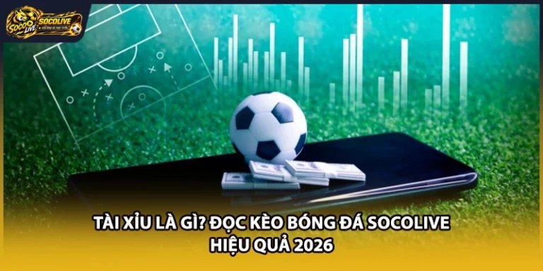 Tài Xỉu Là Gì? Đọc Kèo Bóng Đá Socolive Hiệu Quả 2026