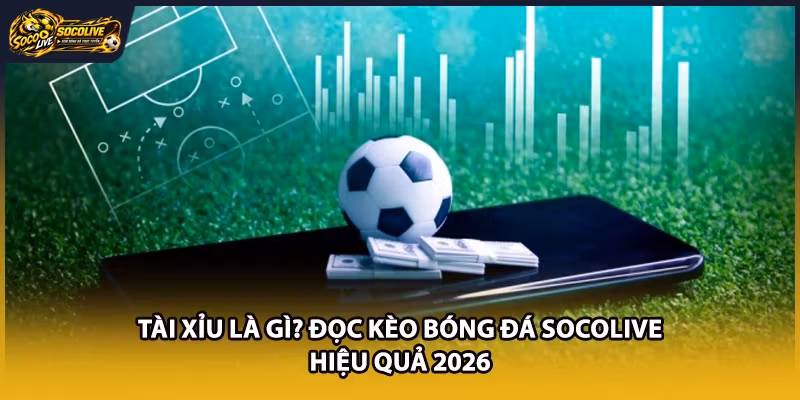Tài Xỉu Là Gì? Đọc Kèo Bóng Đá Socolive Hiệu Quả 2026