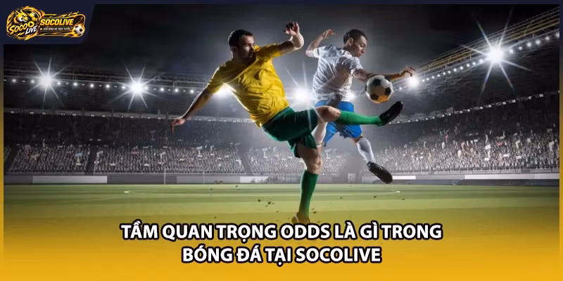 Tầm quan trọng Odds là gì trong bóng đá tại Socolive