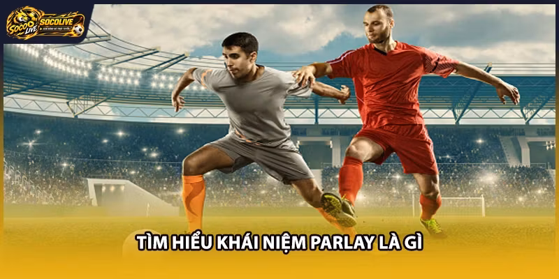 Tìm hiểu khái niệm Parlay là gì