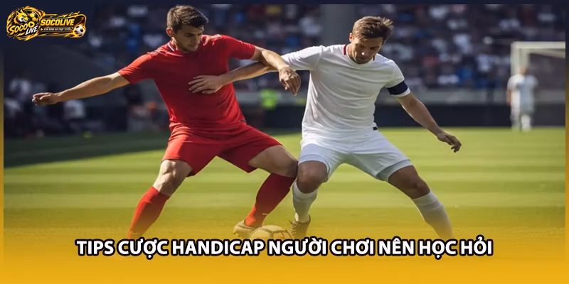 Tips cược Handicap người chơi nên học hỏi